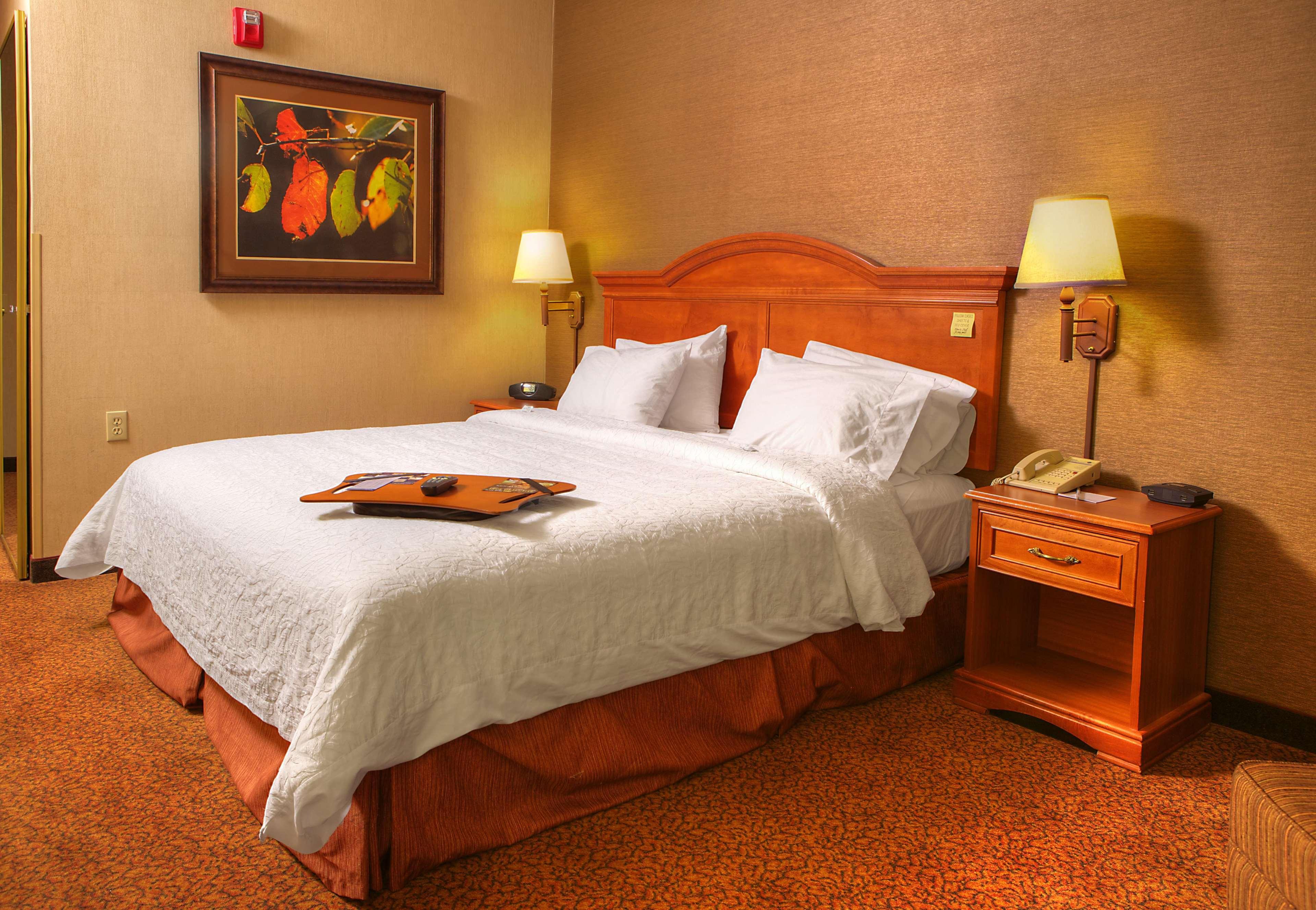 Comfort Inn & Suites Rapid City Near Mt Rushmore Eksteriør billede